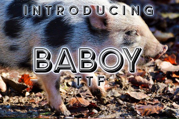 Baboy: A Stylish 3D Typeface for Bold Branding