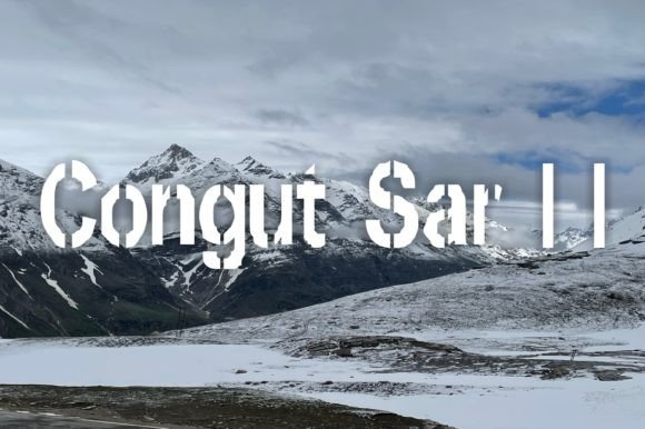 Congut Sar Ii for Quirky Display Typography